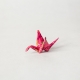 La vie en rose