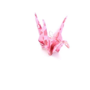 Lapin Blanc